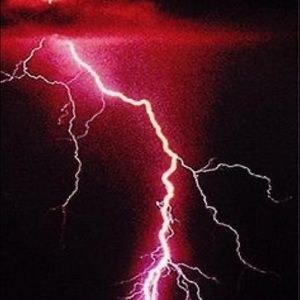 Meet your Posher, Shayla